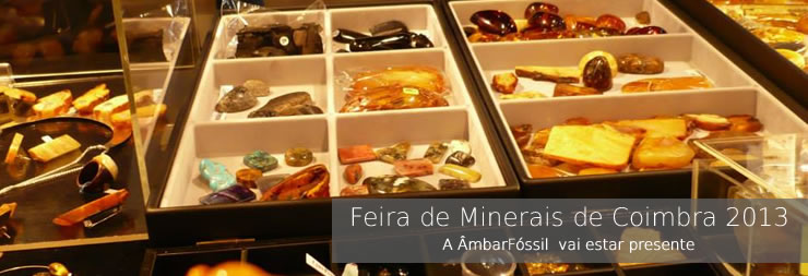 Feira de Minerais de Coimbra 2013