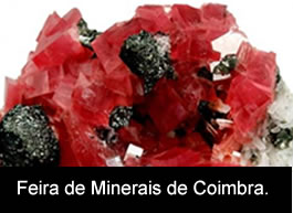 Feira de Minerais Coimbra 2013