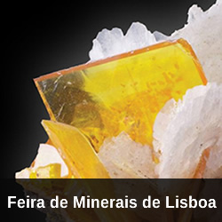 XXVII Feira Internacional de Minerais, Gemas e Fósseis de Lisboa - 2013