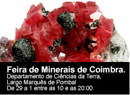Feira de Minerais de Coimbra 2013