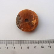 Âmbar Báltico forma natural em donut 