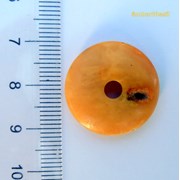 Donut em âmbar Báltico, cor branco