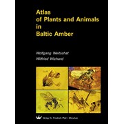 Atlas das Inclusões animais e vegetais, em Âmbar do Báltico